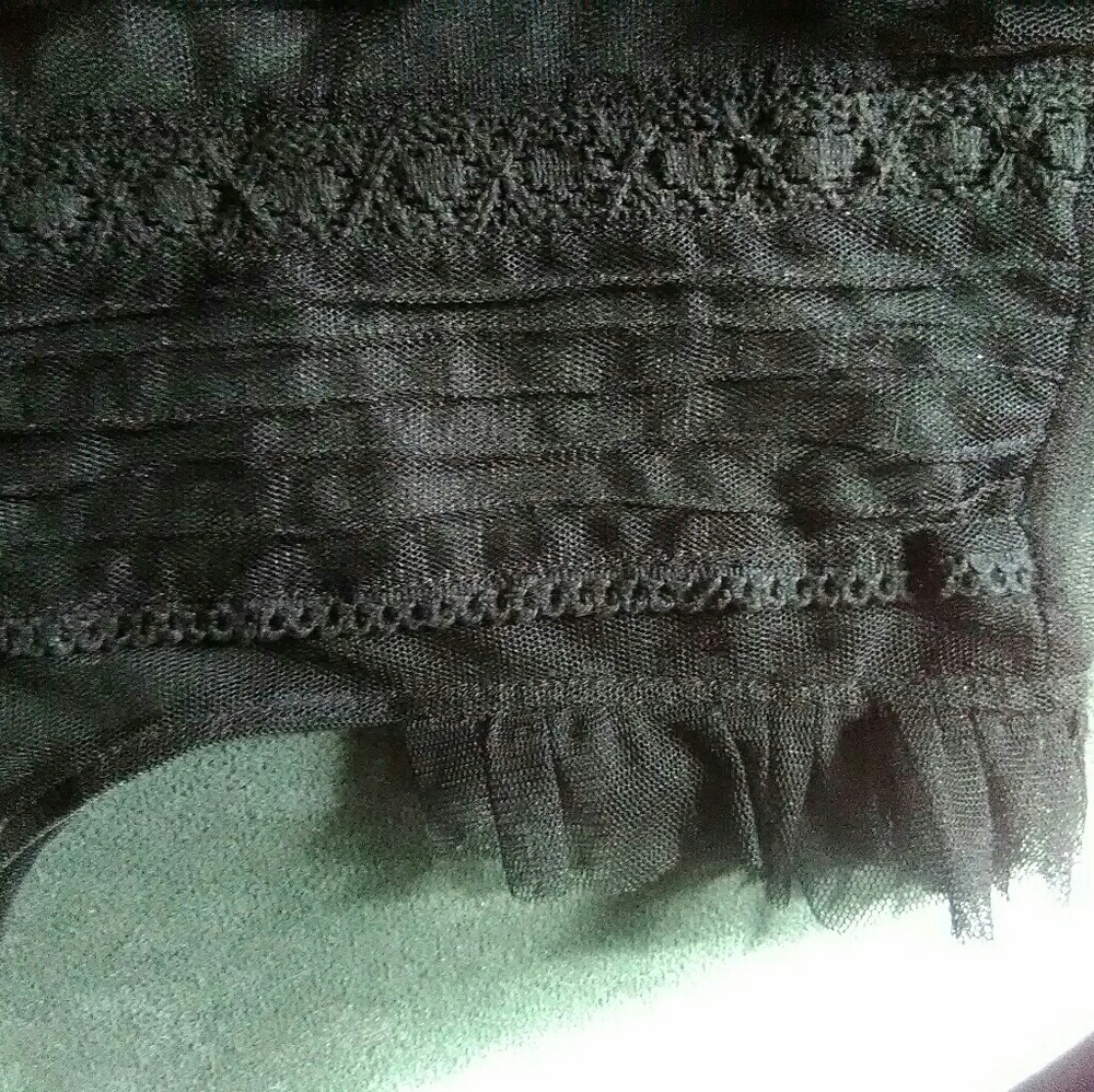 Sheer Blouse - Picture 3 of 8